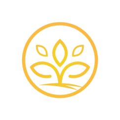 Outlet The Brio Bud Store